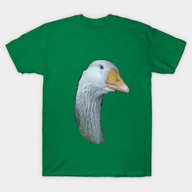 The Glorious Gander T-Shirt by LochNestFarm